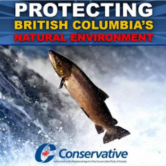 Conservative salmon ad